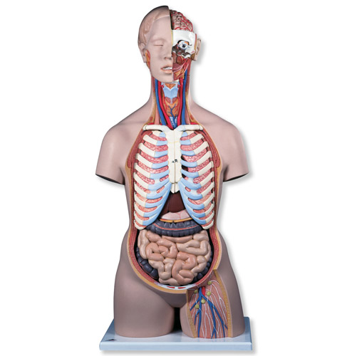 (jng)o(w)|ģ_(ki)ţ21