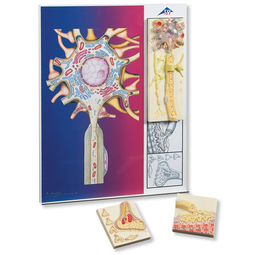 (jng)W(xu)ϵ5KŻģڽ@ʾ