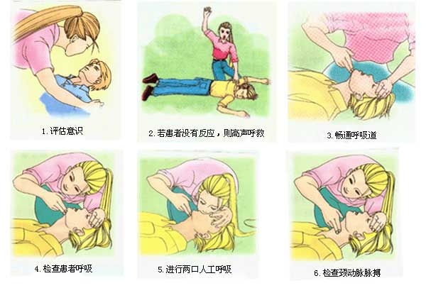 心肺復(fù)蘇模擬人