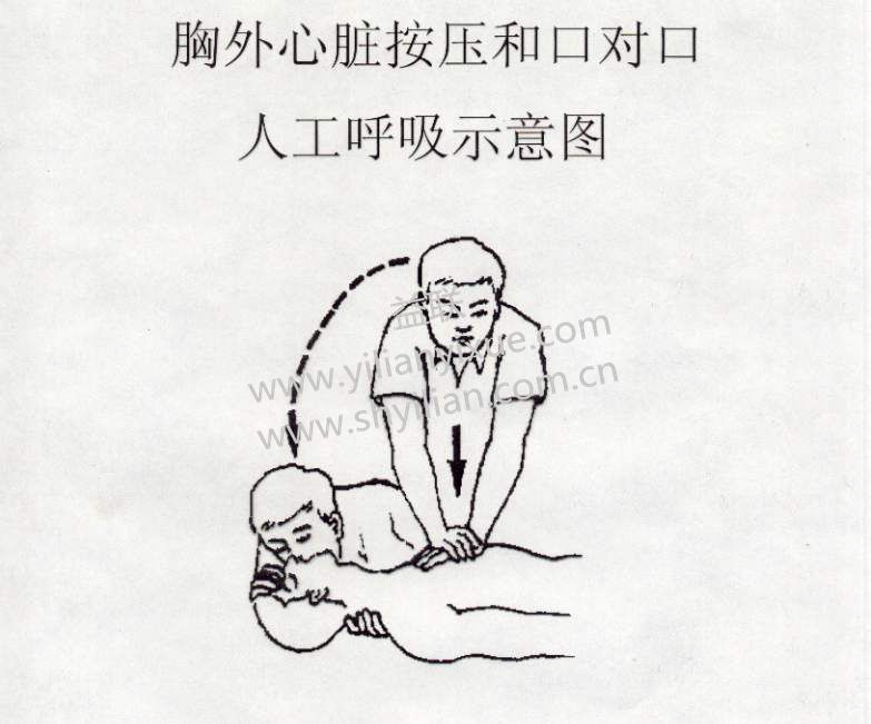 心肺復(fù)蘇模擬人